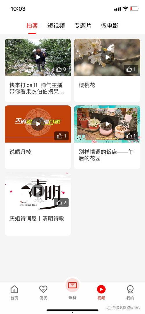 青帝最新爆料新闻网下载,揭秘网络下载背后的秘密与挑战  第2张